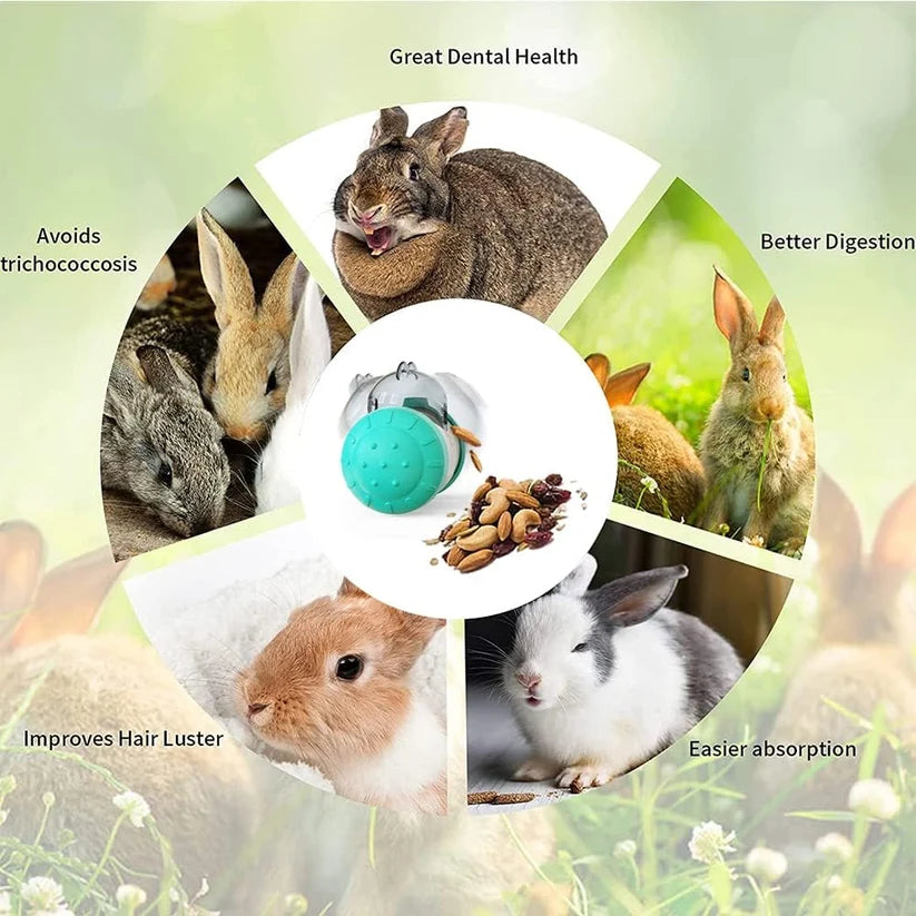 Juguete interactivo para mascotas que dispensa premios